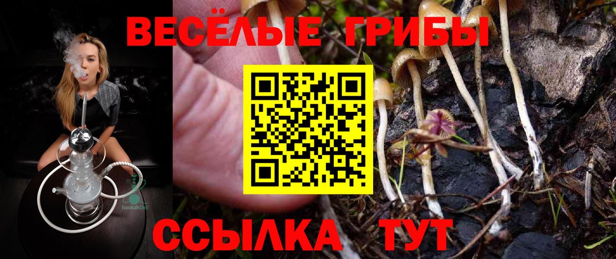 Котовск  Галлюциногенные грибы ЛСД  Вход с VPN 