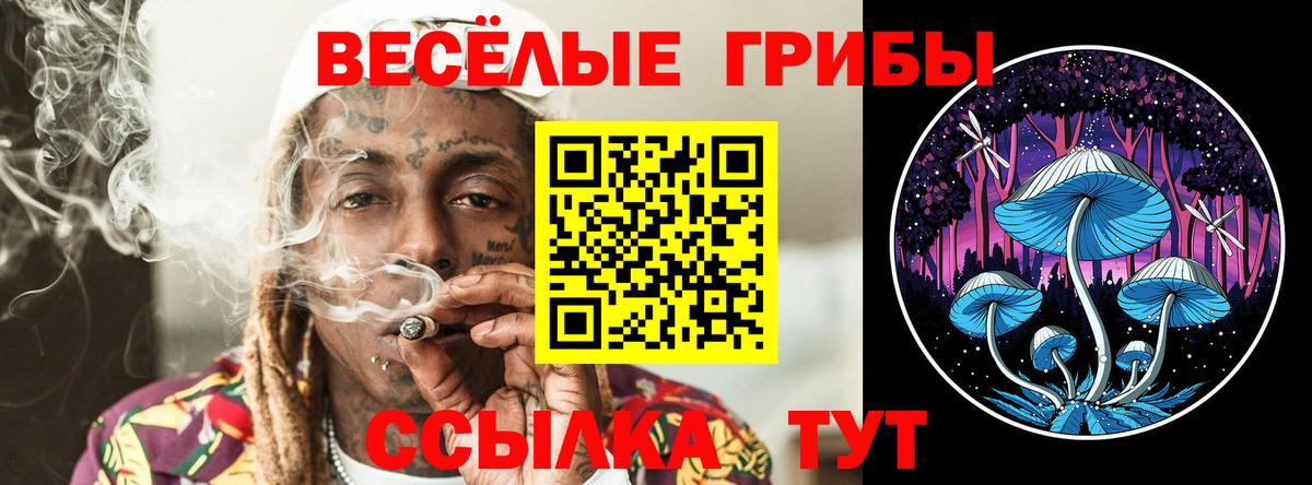 Псилоцибиновые грибы MAGIC MUSHROOMS Котовск