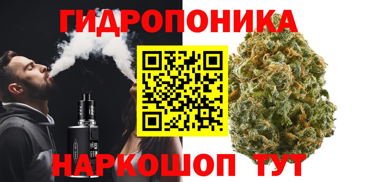 Бошки Шишки семена Котовск